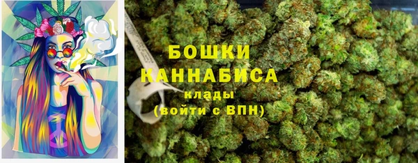 дурь Алзамай