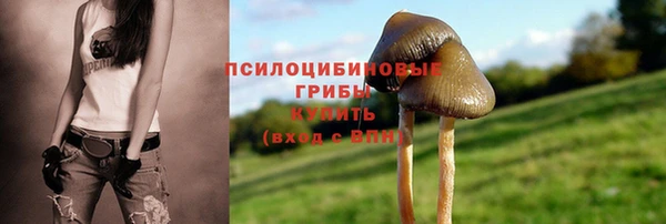 спиды Алексеевка