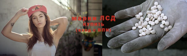 ГАЛЛЮЦИНОГЕННЫЕ ГРИБЫ Алексин