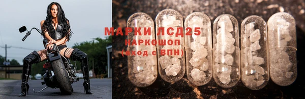спиды Алексеевка