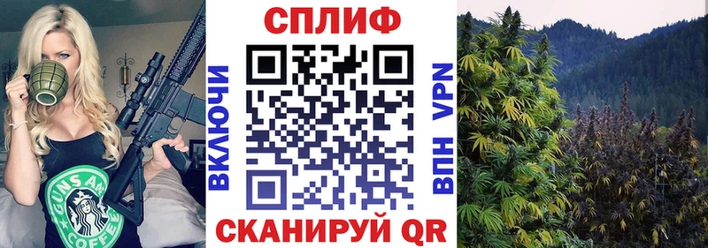 Бошки марихуана LSD WEED  Суджа 